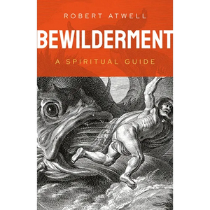 Bewilderment: A Spiritual Guide - Paperback