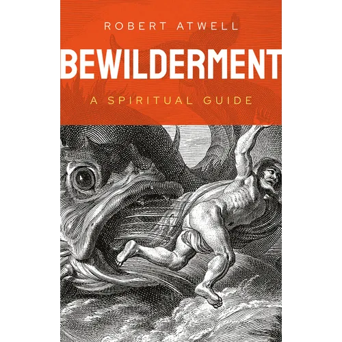 Bewilderment: A Spiritual Guide - Paperback