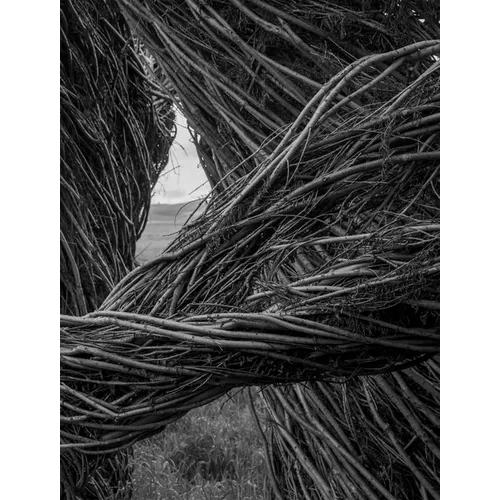 Patrick Dougherty James Florio: Sticks - Hardcover