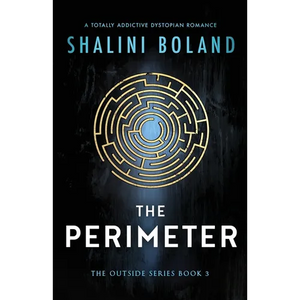 The Perimeter: A totally addictive dystopian romance - Paperback
