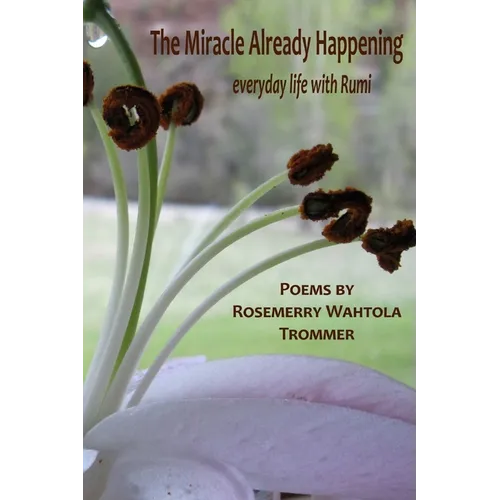 The Miracle Already Happening - Paperback