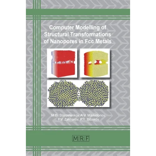 Computer Modelling of Structural Transformations of Nanopores in Fcc Metals - Paperback