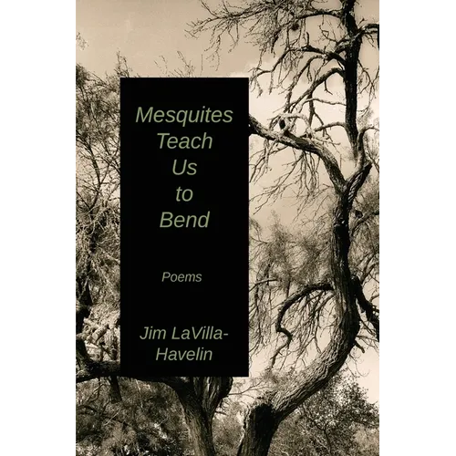 Mesquites Teach Us to Bend - Paperback