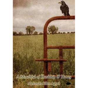 A Mouthful of Hardship & Honey - Paperback