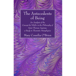 The Antecedents of Being - Paperback