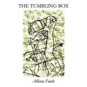 The Tumbling Box - Paperback