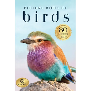 Picture Book of Birds - Paperback