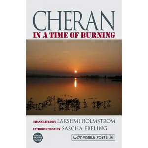 In a Time of Burning - Paperback