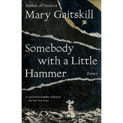 Somebody with a Little Hammer: Essays - Paperback