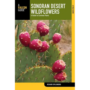 Sonoran Desert Wildflowers - Paperback