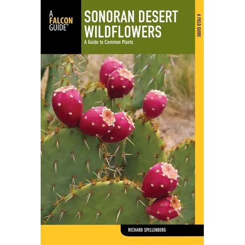 Sonoran Desert Wildflowers - Paperback