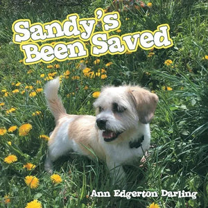Sandy's Been Saved - Paperback