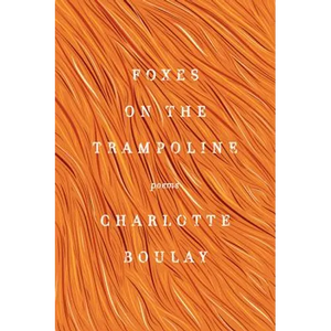 Foxes on the Trampoline - Paperback