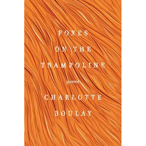 Foxes on the Trampoline - Paperback