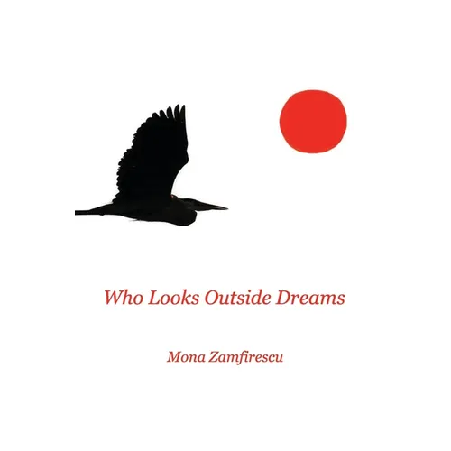 Who Looks Outside Dreams - Paperback