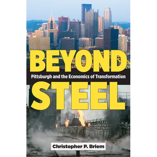 Beyond Steel: Pittsburgh and the Economics of Transformation - Paperback