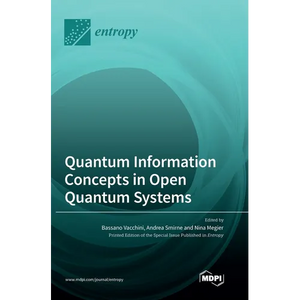 Quantum Information Concepts in Open Quantum Systems - Hardcover