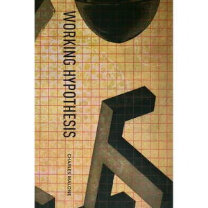 Working Hypothesis - Paperback