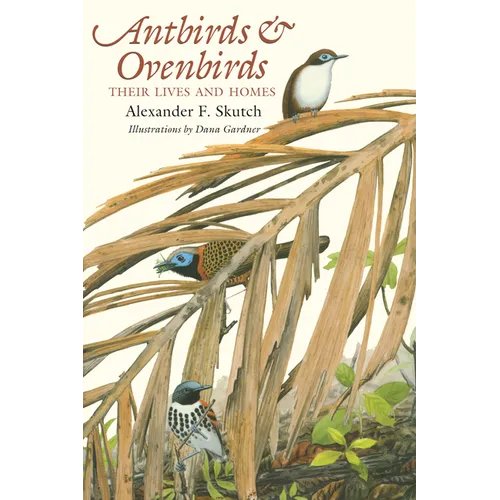 Antbirds and Ovenbirds: Their Lives and Homes - Paperback