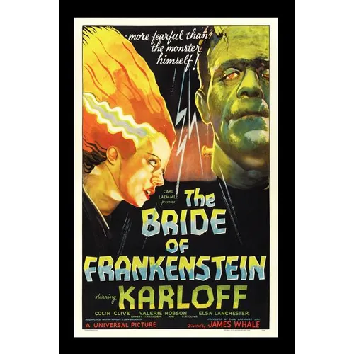 The Bride of Frankenstein - Paperback