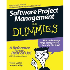 Software Project Management for Dummies - Paperback