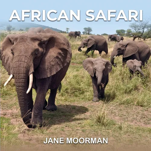 African Safari - Paperback