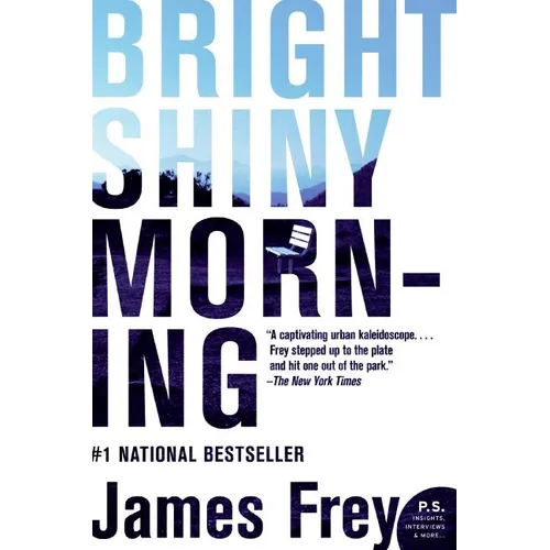 Bright Shiny Morning - Paperback