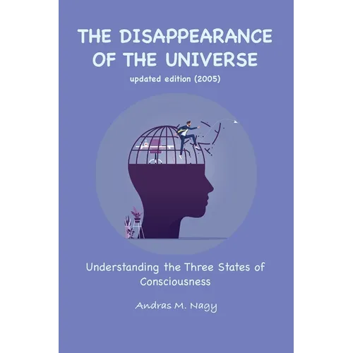 The Disappearance of the Universe - Paperback