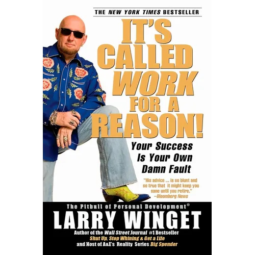 It's Called Work for a Reason!: Your Success Is Your Own Damn Fault - Paperback