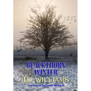 Blackthorn Winter - Paperback