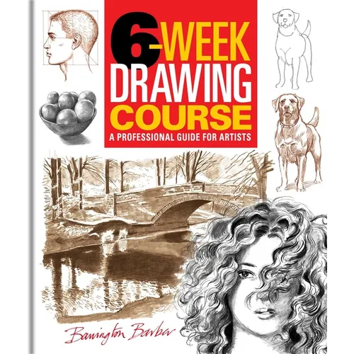 6-Week Drawing Course: A Professional Guide for Artists - Paperback