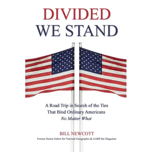 Divided We Stand - Paperback