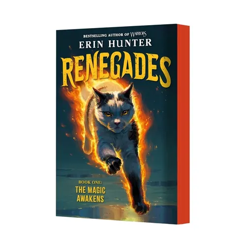 Renegades #1: The Magic Awakens - Paperback