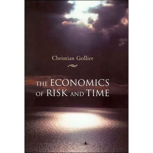 The Economics of Risk and Time - Paperback