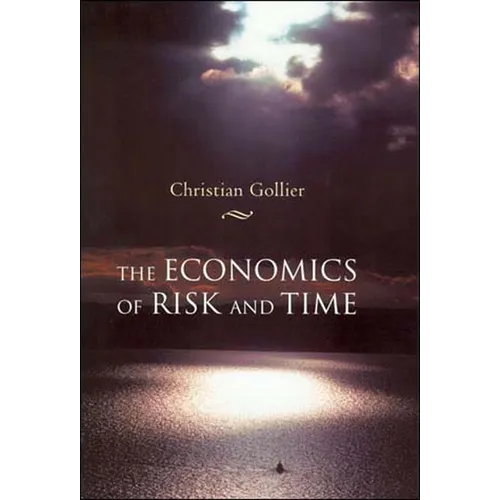 The Economics of Risk and Time - Paperback