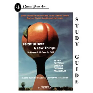 Faithful Over a Few Things Study Guide - Paperback