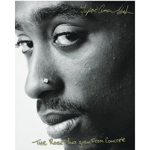 The Rose That Grew from Concrete - Hardcover