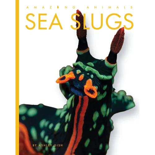 Sea Slugs - Library Binding