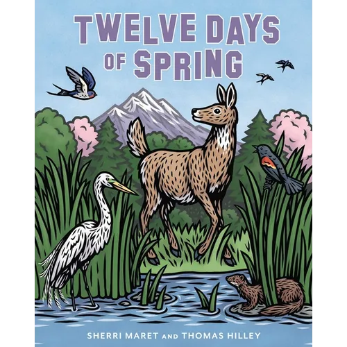 Twelve Days of Spring - Hardcover