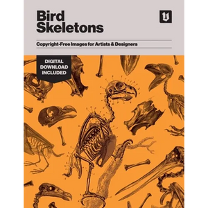 Bird Skeletons: Copyright-Free Images for Artists & Designers - Paperback