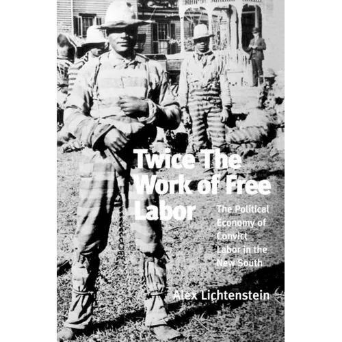 Twice the Work of Free Labor - Paperback
