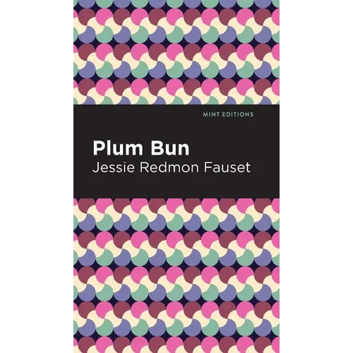 Plum Bun: A Novel Without a Moral - Hardcover
