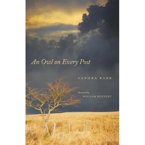 An Owl on Every Post - Paperback