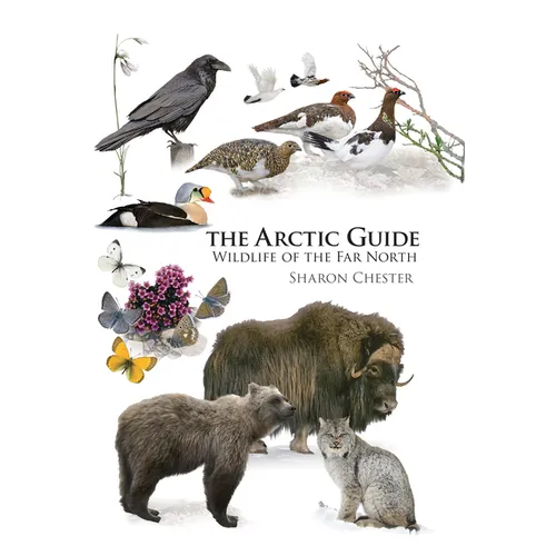 The Arctic Guide: Wildlife of the Far North - Paperback