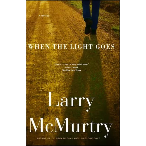 When the Light Goes - Paperback