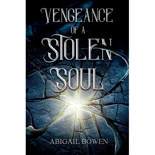 Vengeance of a Stolen Soul - Paperback
