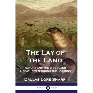 The Lay of the Land: Nature and the Woodland Creatures through the Seasons - Paperback