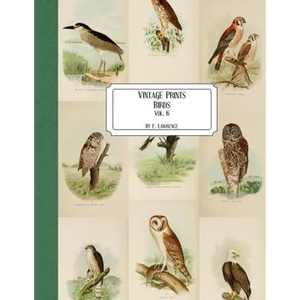 Vintage Prints: Birds: Vol. 6 - Paperback