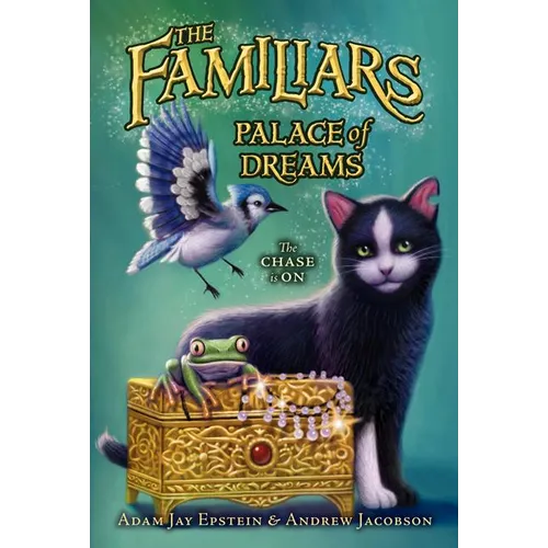 Palace of Dreams - Paperback
