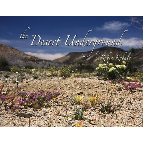 The Desert Underground: Exposing a Valuable Hidden World Under Our Feet - Paperback